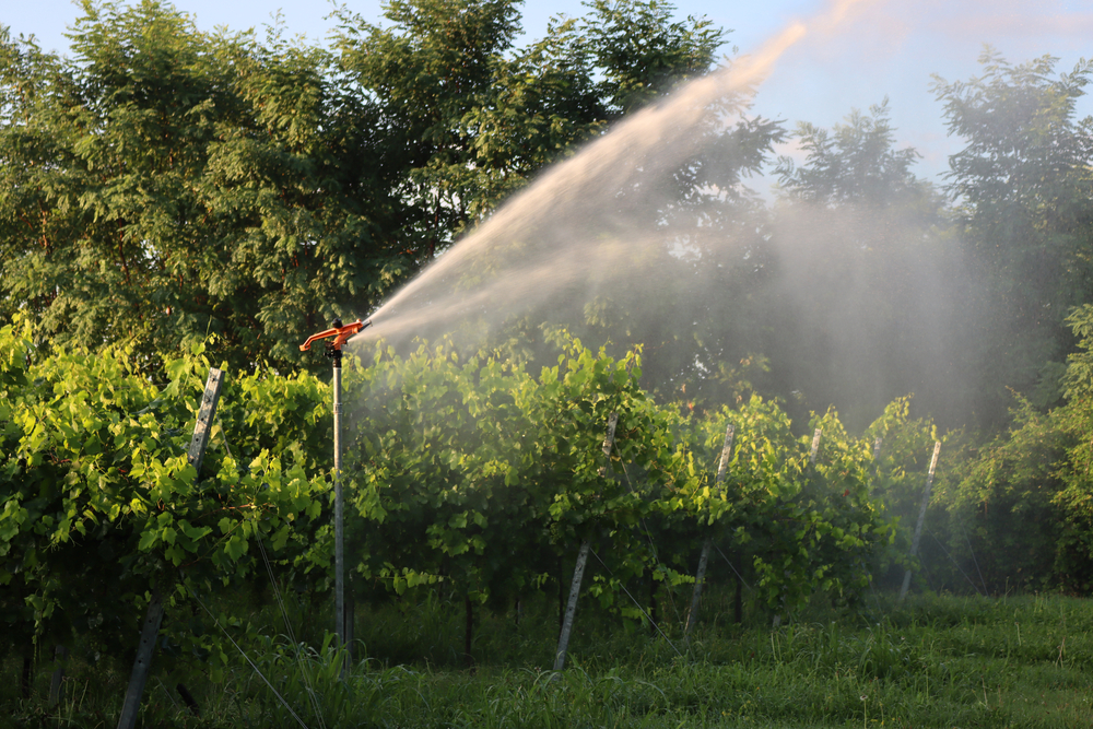 Water sprinkler spraying water on crops | Bulk Water Services | Taylor Farms Water Hauling | Eastern Panhandle WV