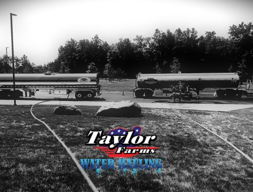 2025-08-10-22-06-40-866 (1)