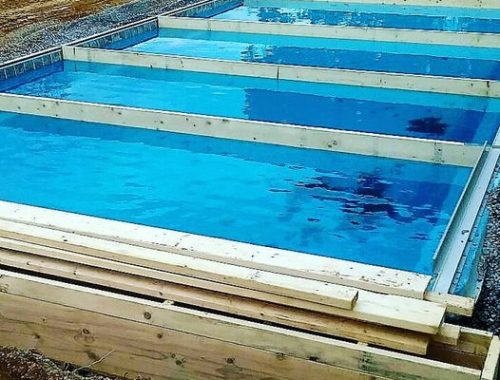 44768073_2331525433542861_6227525046726819840_n